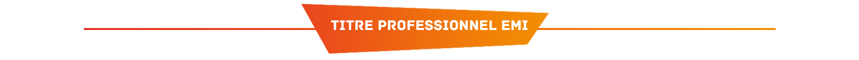 Titre pro EMI