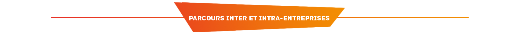 Formations inter et intra-entreprises