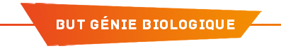 BUT Génie biologique – SAB